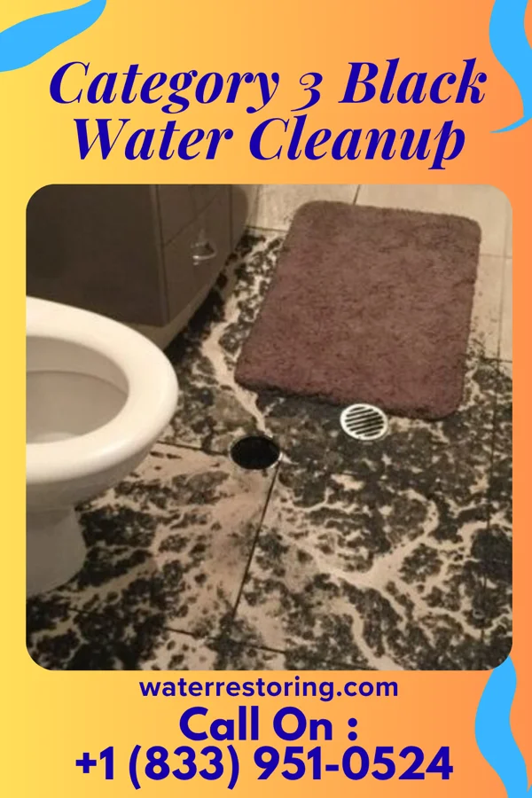 Category 3 Black Water Cleanup in Oxoboxo River, CT